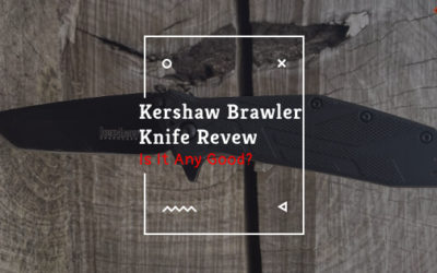 Kershaw Brawler Knife Review | How Good Is It?